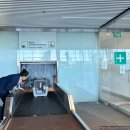 오라켄넬 | 강아지 한국&lt;&gt;유럽(폴란드 브로츠와프) 출국 입국 서류, LOT 강아지 위탁 수하물 후기