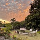 사라보카 이미지