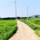 칠량농장 이미지