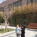 신세계강남스케쳐스
