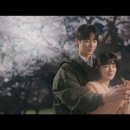 사이투어