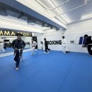 MMA주짓수 | 금요일은 스파링데이! 창동 MMA STORY 주짓수 후기
