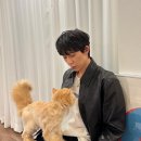 화이트쿤스트