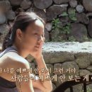 금능전기