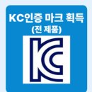 넥시스시트 | 🚛마켓컬리 노부스 차량, 넥시스 시트에서도 해결되지 않던 허리 통증 - 평택 출장 리무진 시트 교체 후기🚛
