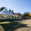 구학리 산채관광 마을 이미지