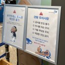 제주 동쪽 가볼만한곳 아쿠아플라넷 제주 포토존 꿀팁 오션아레나 공연 후기