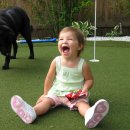 주식회사 코리아펫 이미지