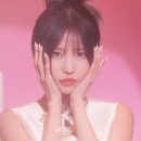 나인컨셉 이미지