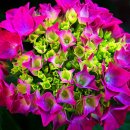 남구-006 이미지