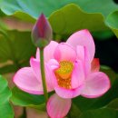 법정스님의 좋은글 모음 이미지