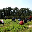 천상의 소리 팬플룻 이미지