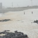 바당봉봉 이미지