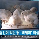 미원마니커 이미지