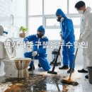 가가하우스