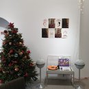 세인트루이스 애견 이미지