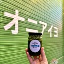 오니아이요 이미지