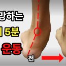 강철 발목 만드는 필수 운동 자동 더빙 재활전문가 강교수 재활전문가 강교수 구독자 1.18천명 이미지