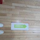 투표자 등재번호·투표소 확인 검색 방법 ｜마포구 관내·관외 사전투표 후기 총정리