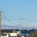 신천코지 이미지