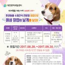 반려동물수제간식창업 이미지