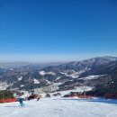 웰리힐리파크 이미지