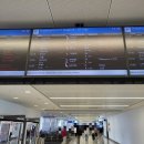 시드니공항 플라자 프리미엄 라운지/티웨이항공 TW502 시드니-인천 직항 항공편 가격 기내식 수하물 후기