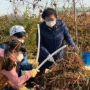 사계절로컬푸드