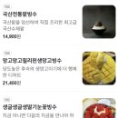 우연히 들렸는데 커피맛이 장난 아닌 카페 일산 일상 by 빙수팝