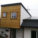 제주달다 이미지