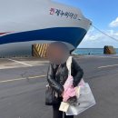 강아지와 퀸제누비아호2 타고 제주도 가기