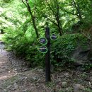 태학산자연휴양림 이미지