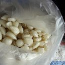 토담농장 이미지