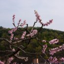 강동마을 이미지