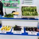 (주)코리아팜 이미지