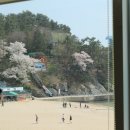 남일대리조트 산호장 이미지