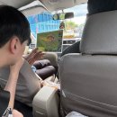 여행할때 허니문여행사 (2) 씨워크 투어, 우붓 몽키 포레스트, 짱구 블로썸 에코럭스 풀빌라, 바비굴링