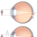 안경나라신창점 이미지