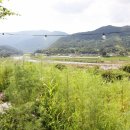 지리산A하우스 | 지리산 아래 감성 가득한 독채 숙소, 함양펜션 지리산A하우스 후기🌿