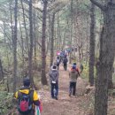 솔바람길 이미지