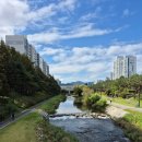 매송공원과 매송중학교 사이 이미지