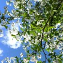 반포대로28길 94 이미지