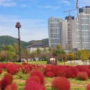 인천 드림파크 야생화공원 이미지
