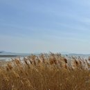 반월마을회관 이미지