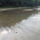 새물낚시터 이미지