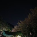 태백 고원 자연휴양림 캠핑장 데크 이용후기.