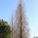 대농축산 이미지