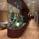 힐마사지 이미지