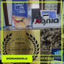 월드보청기 이미지