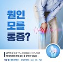 경희마취통증의학과